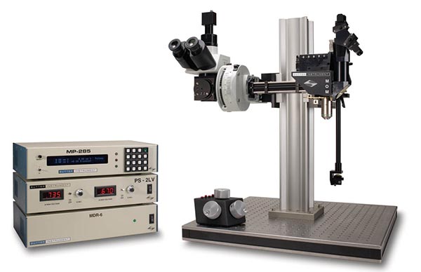2光子励起顕微鏡 MOM (Movable Objective Microscope)